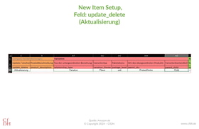 NIS, New Item Setup, Feld update_delete, Aktualisierung