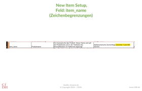 NIS, New Item Setup, Feld item_name, Zeichenbegrenzungen